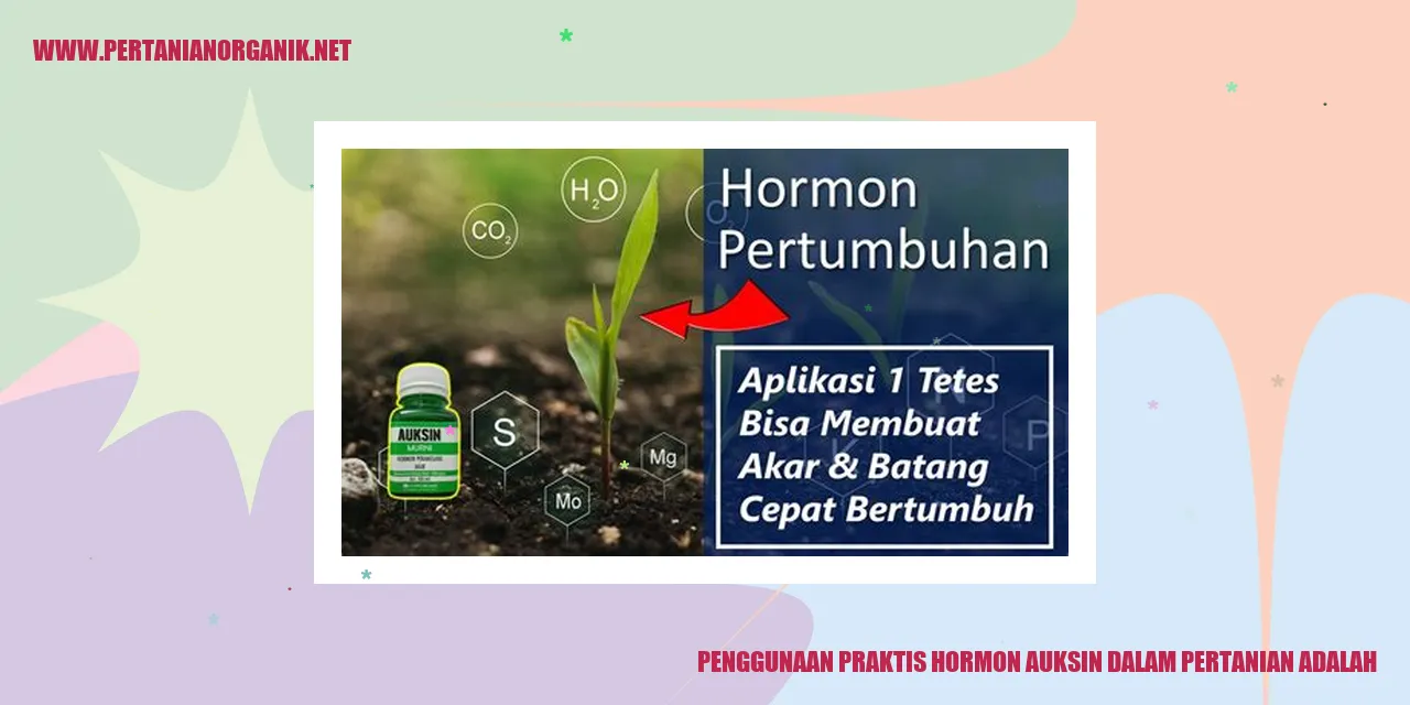 Penggunaan Praktis Hormon Auksin dalam Pertanian