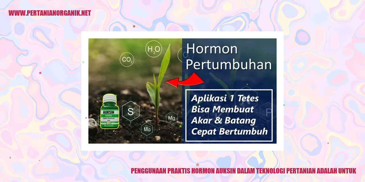 Hormon Auksin dalam Pertanian