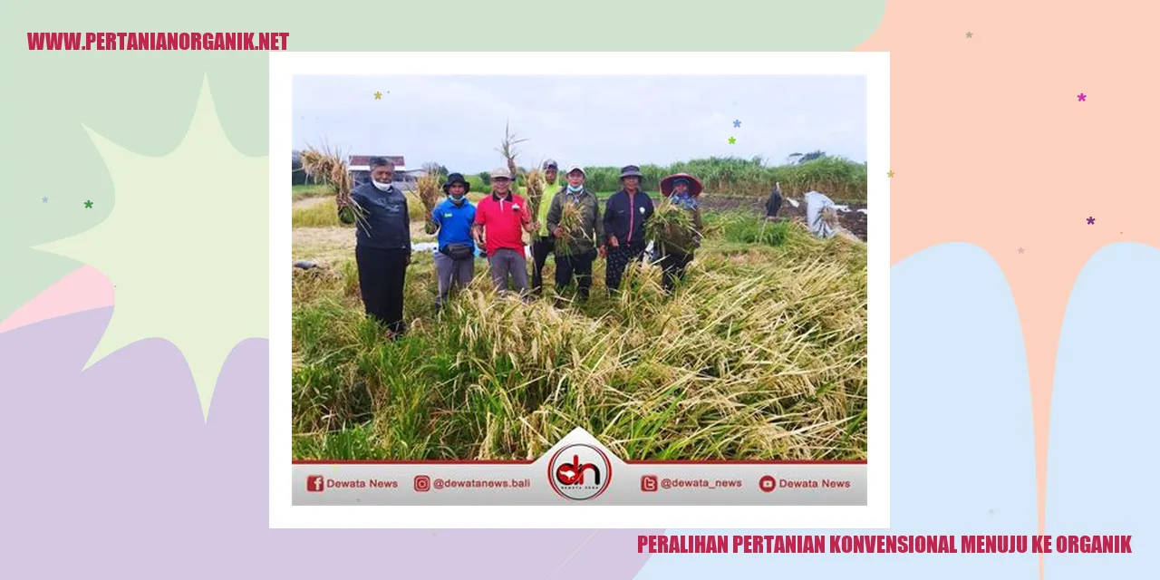 peralihan pertanian konvensional menuju ke organik