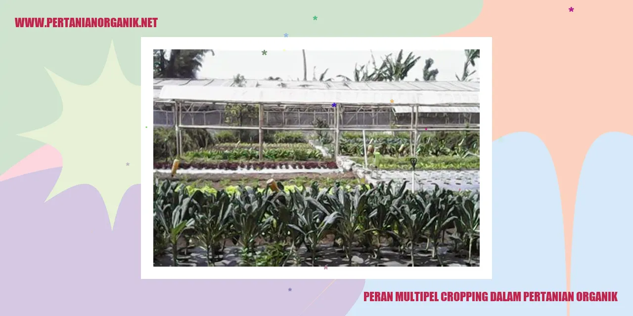 Multipel Cropping dalam Pertanian Organik