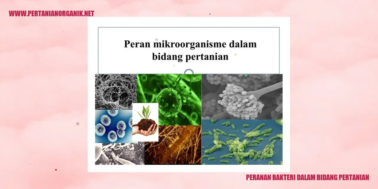 gambar bakteri dalam pertanian