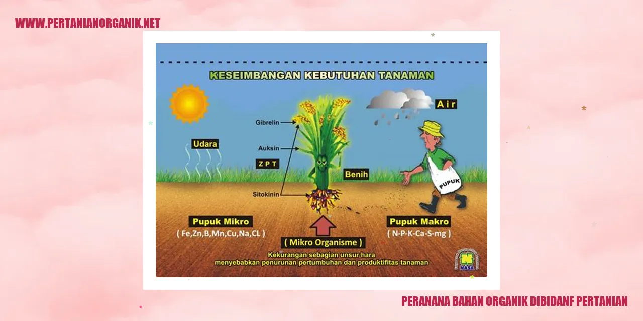 Peran Bahan Organik dalam Meningkatkan Fertilitas Tanah