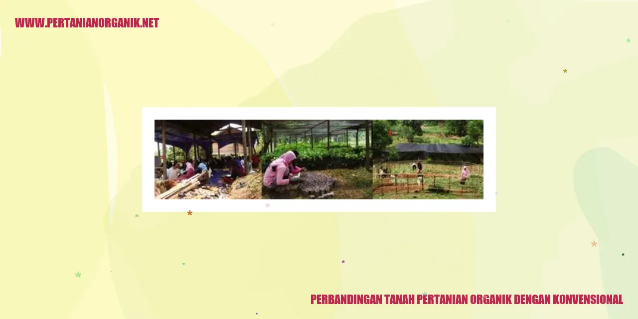 perbandingan tanah pertanian organik dengan konvensional