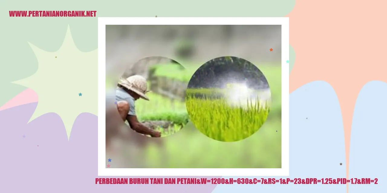 Perbedaan Buruh Tani dan Petani