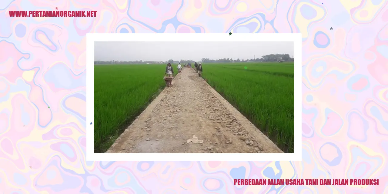 perbedaan jalan usaha tani dan jalan produksi