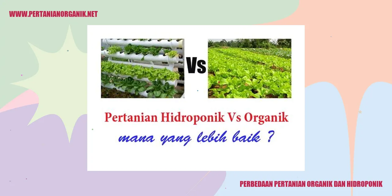 perbedaan pertanian organik dan hidroponik