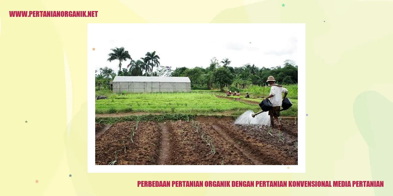 Perbedaan Pertanian Organik dengan Pertanian Konvensional