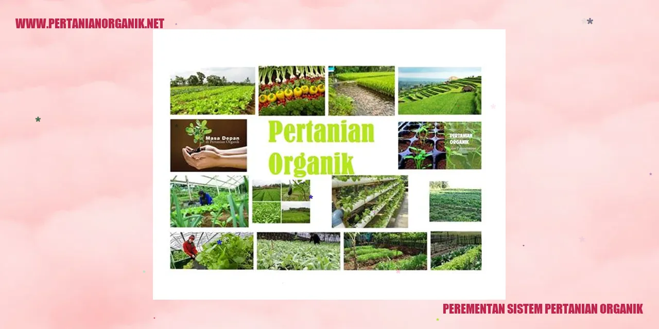 Perkembangan dan Manfaat Sistem Pertanian Organik