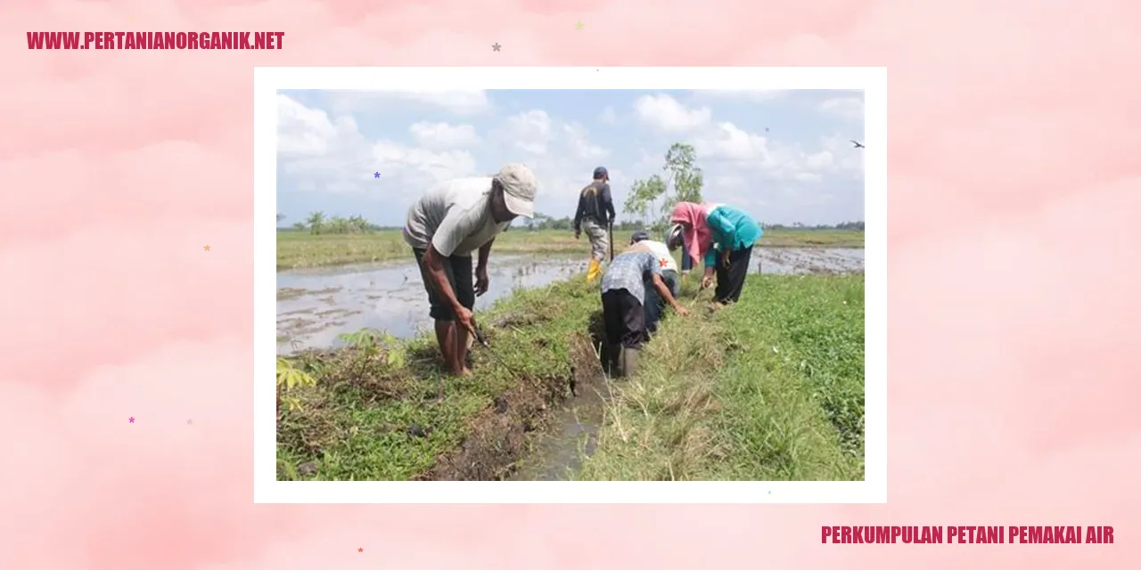 Perkumpulan Petani Pemakai Air