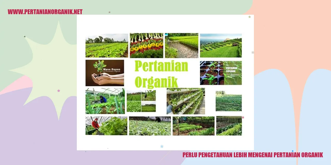 pertanian organik