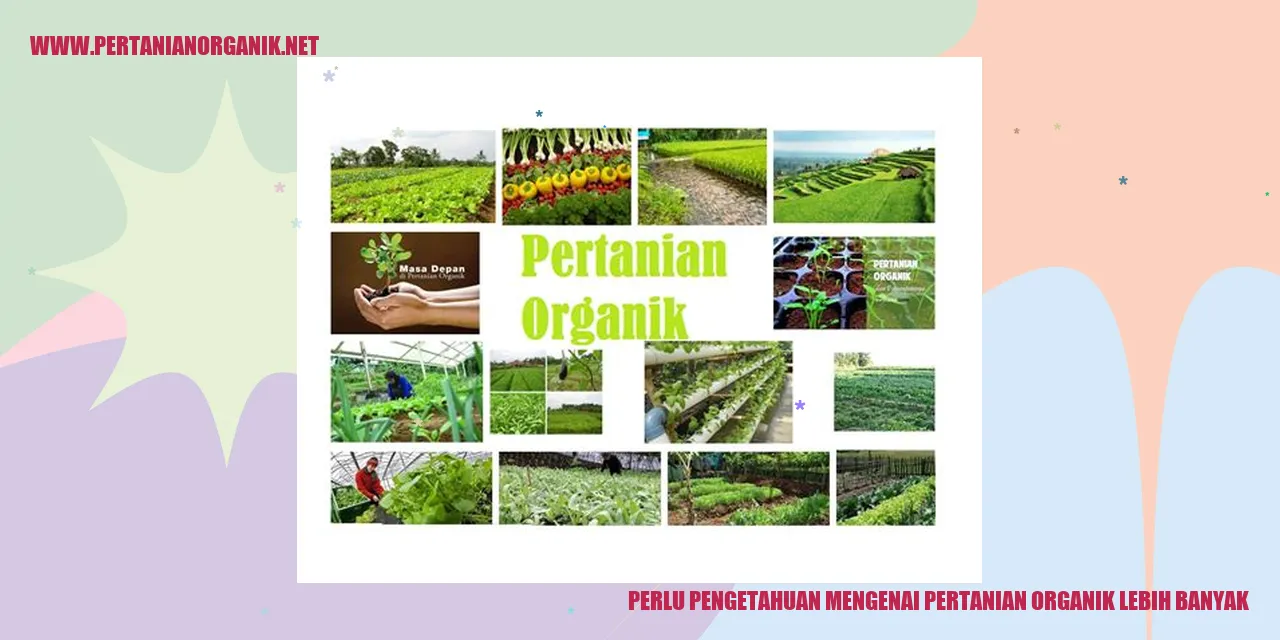 pertanian organik