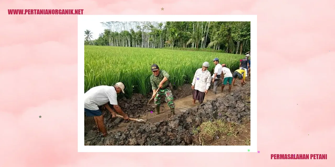 Permasalahan Petani