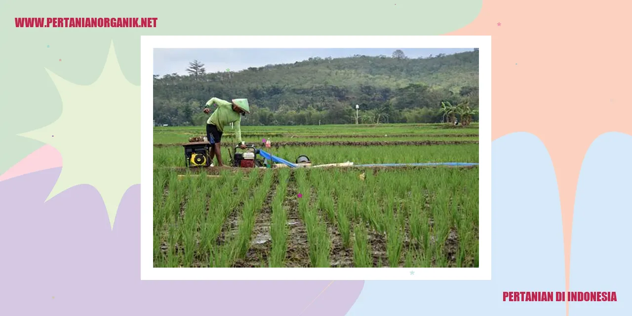 Pemandangan Pertanian di Indonesia