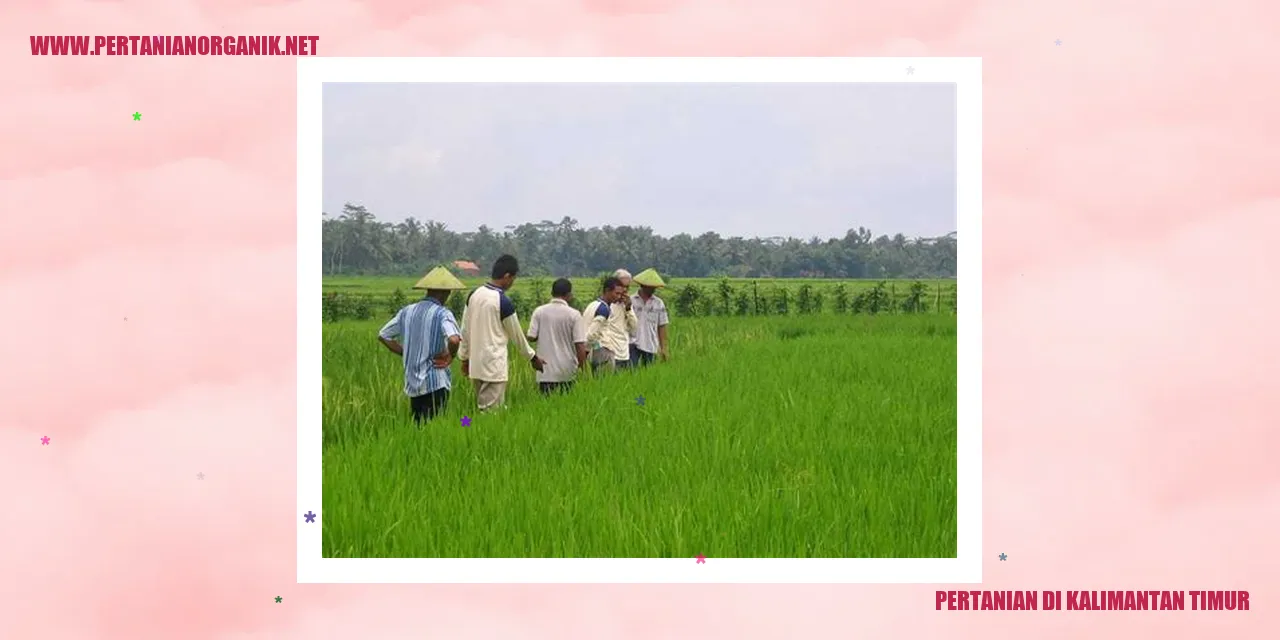 pertanian di kalimantan timur