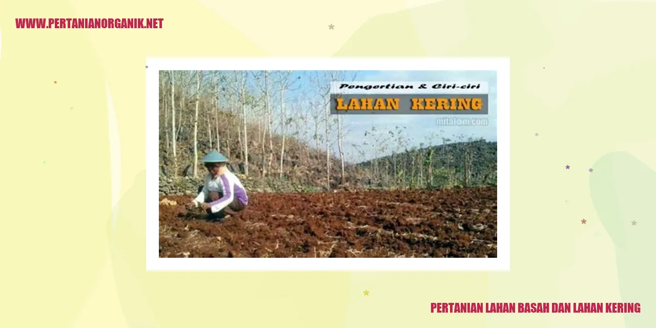 pertanian lahan basah dan lahan kering