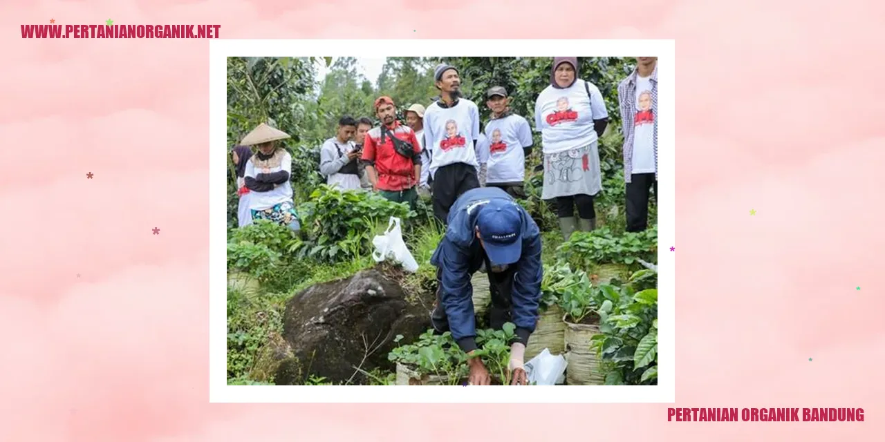 pertanian organik bandung