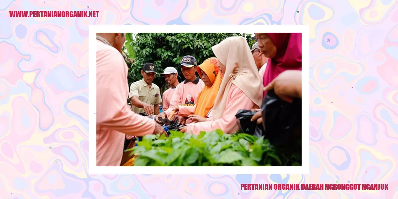 pertanian organik daerah ngronggot nganjuk