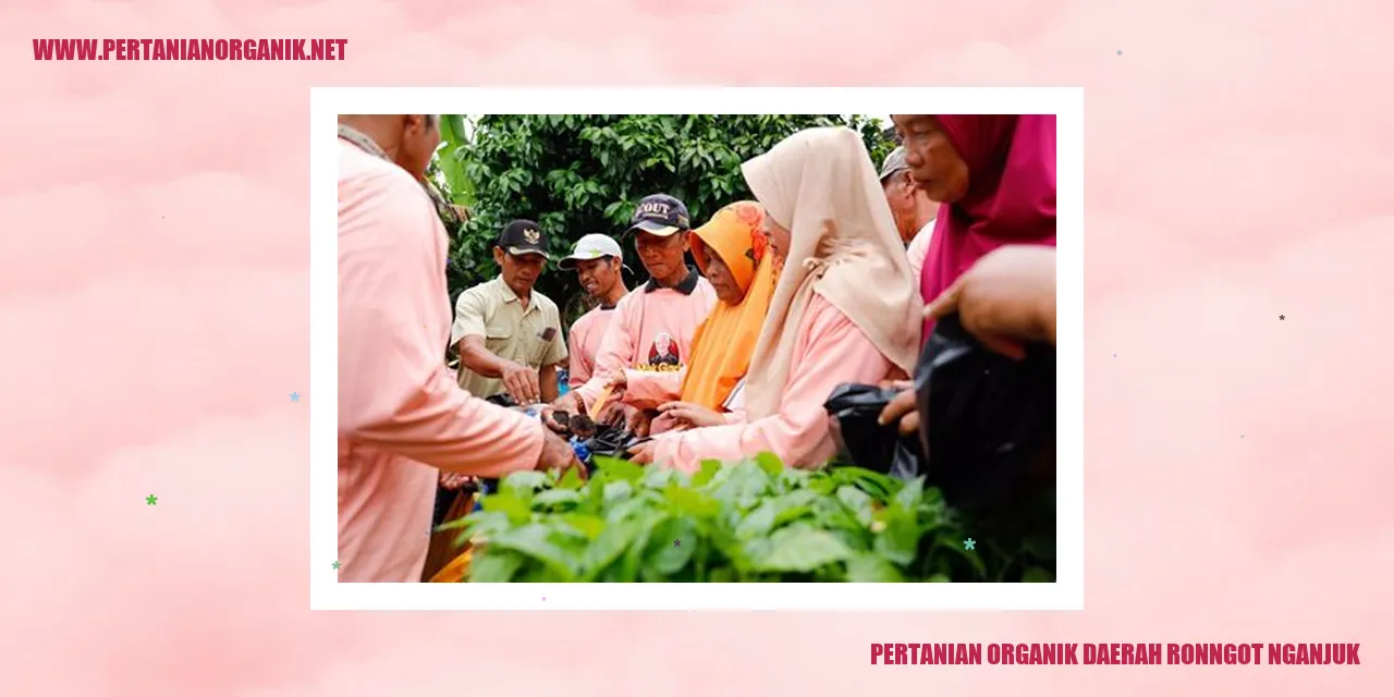 pertanian organik daerah ronngot nganjuk