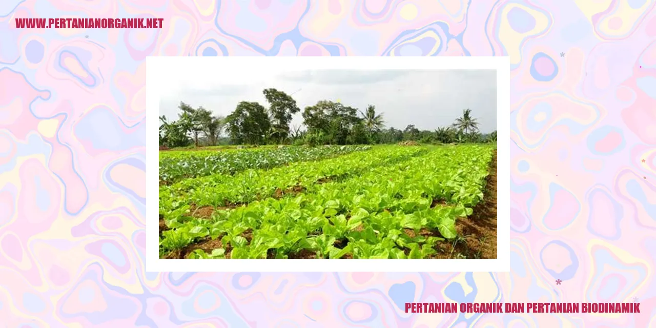 pertanian organik dan pertanian biodinamik