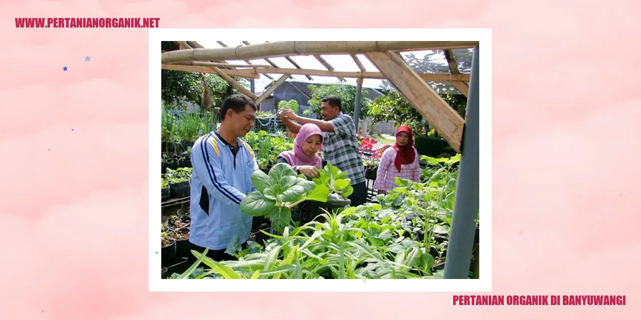 pertanian organik di banyuwangi