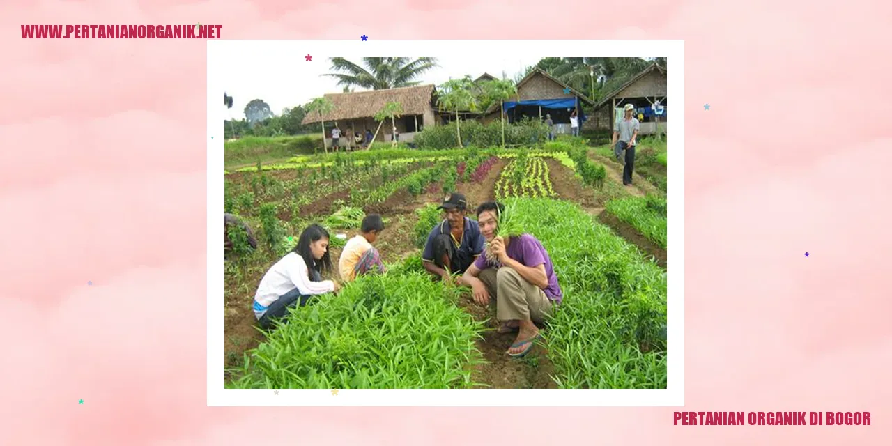 pertanian organik di bogor