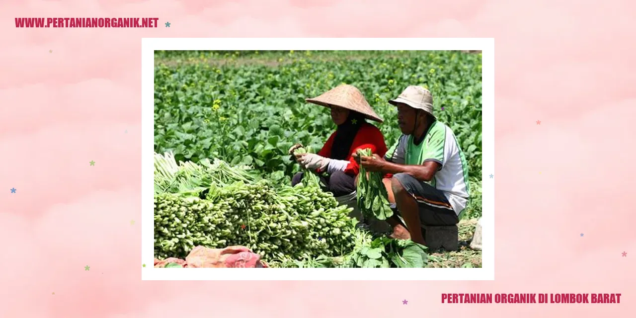 pertanian organik di lombok barat