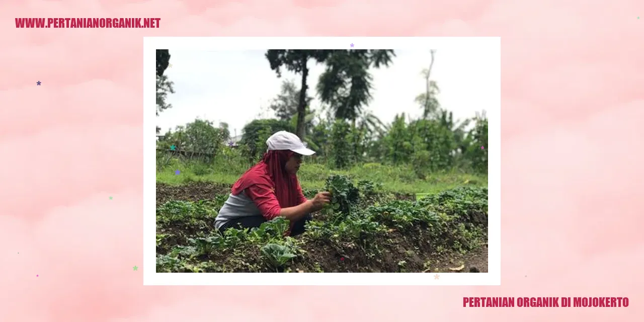 pertanian organik di mojokerto