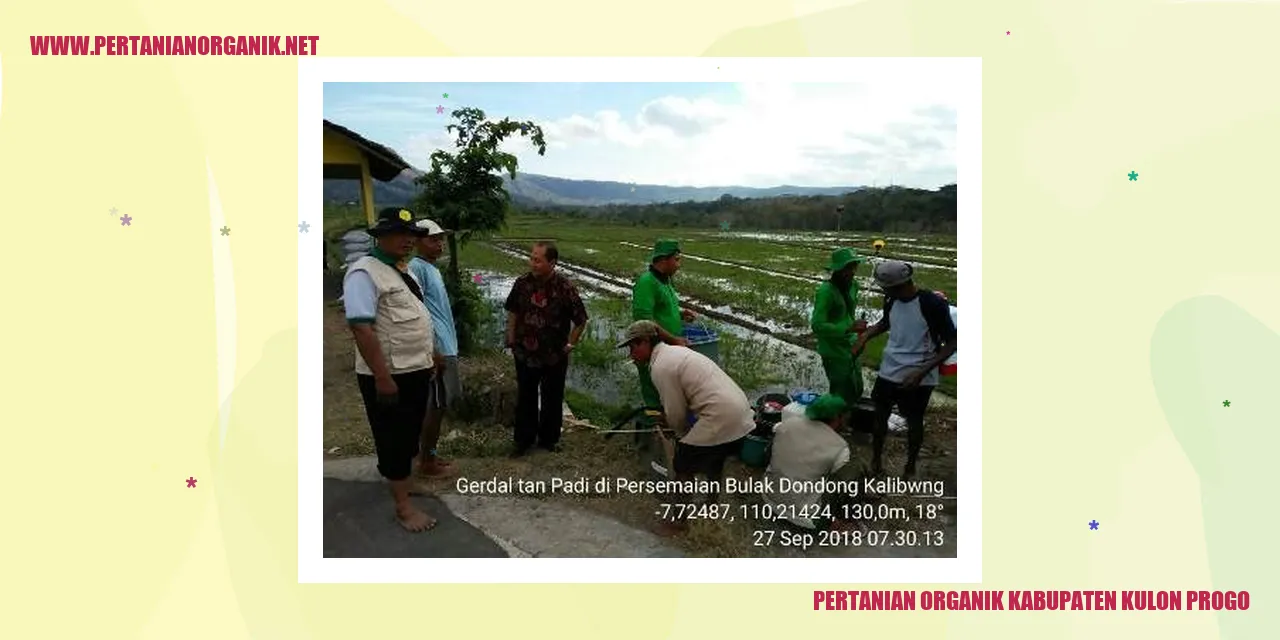 pertanian organik kabupaten kulon progo