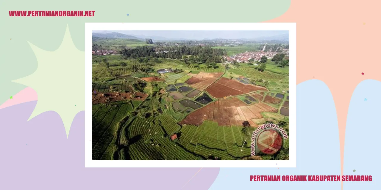 pertanian organik kabupaten semarang