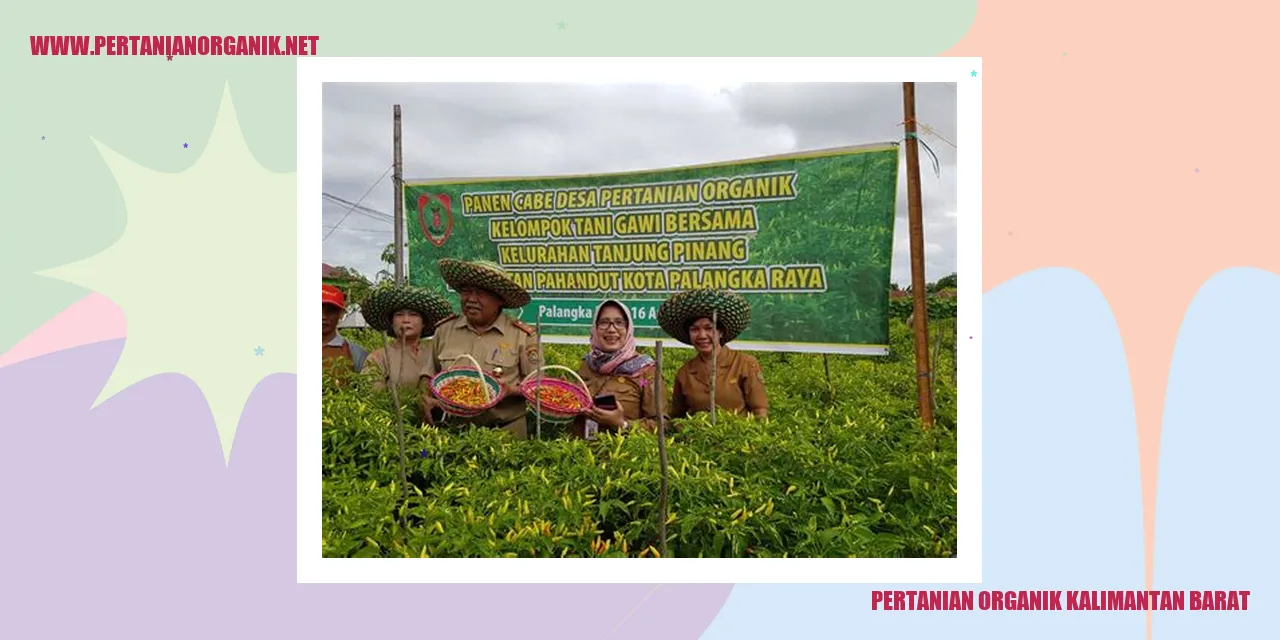 Pertanian Organik Kalimantan Barat