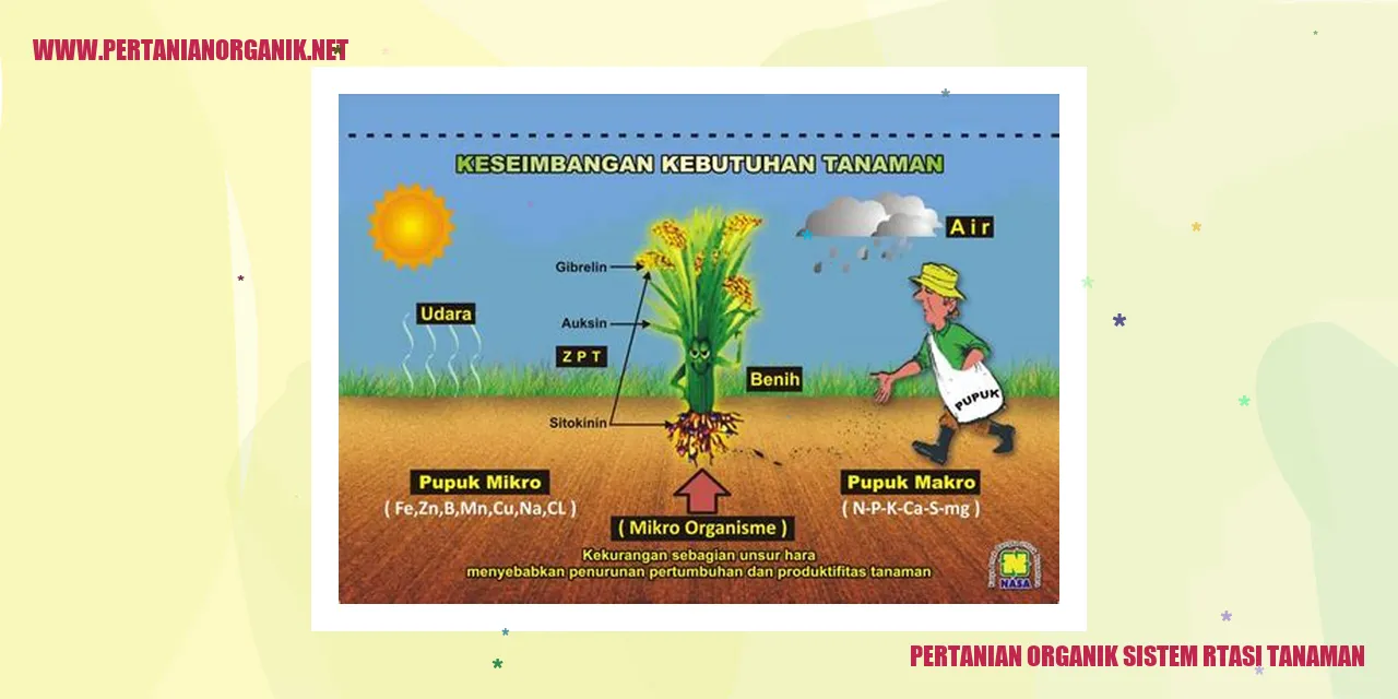 Gambar Pertanian Organik Sistem Rotasi Tanaman