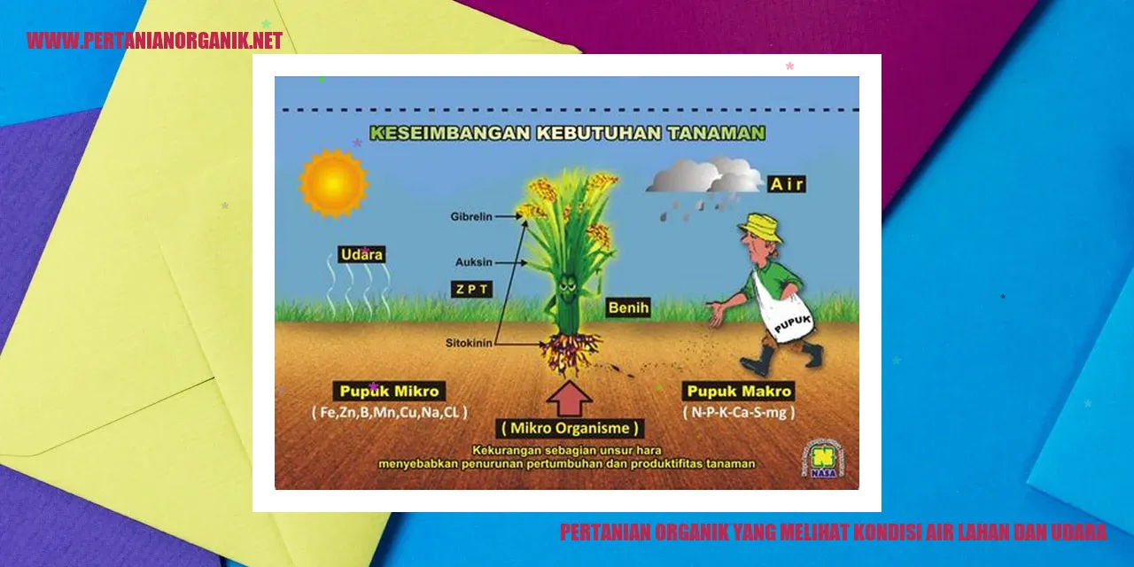 pertanian organik yang melihat kondisi air lahan dan udara