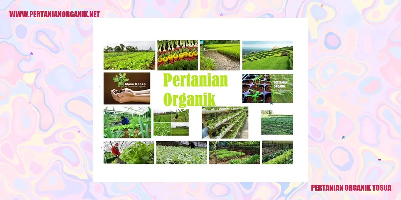 pertanian organik yosua