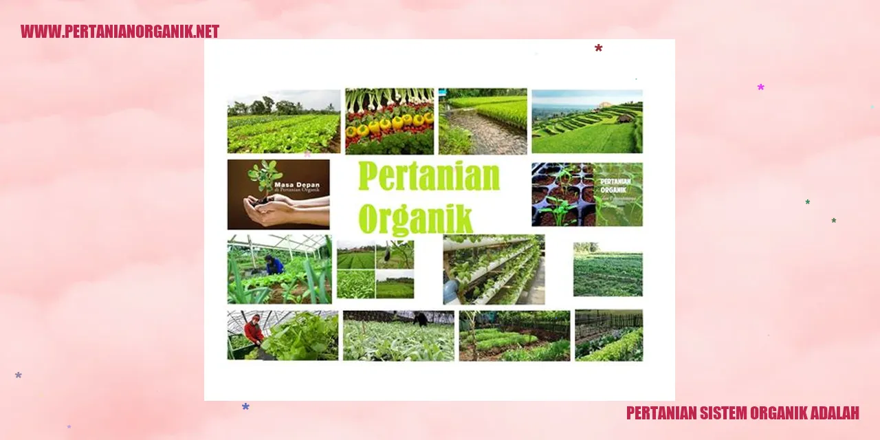 Pertanian Sistem Organik