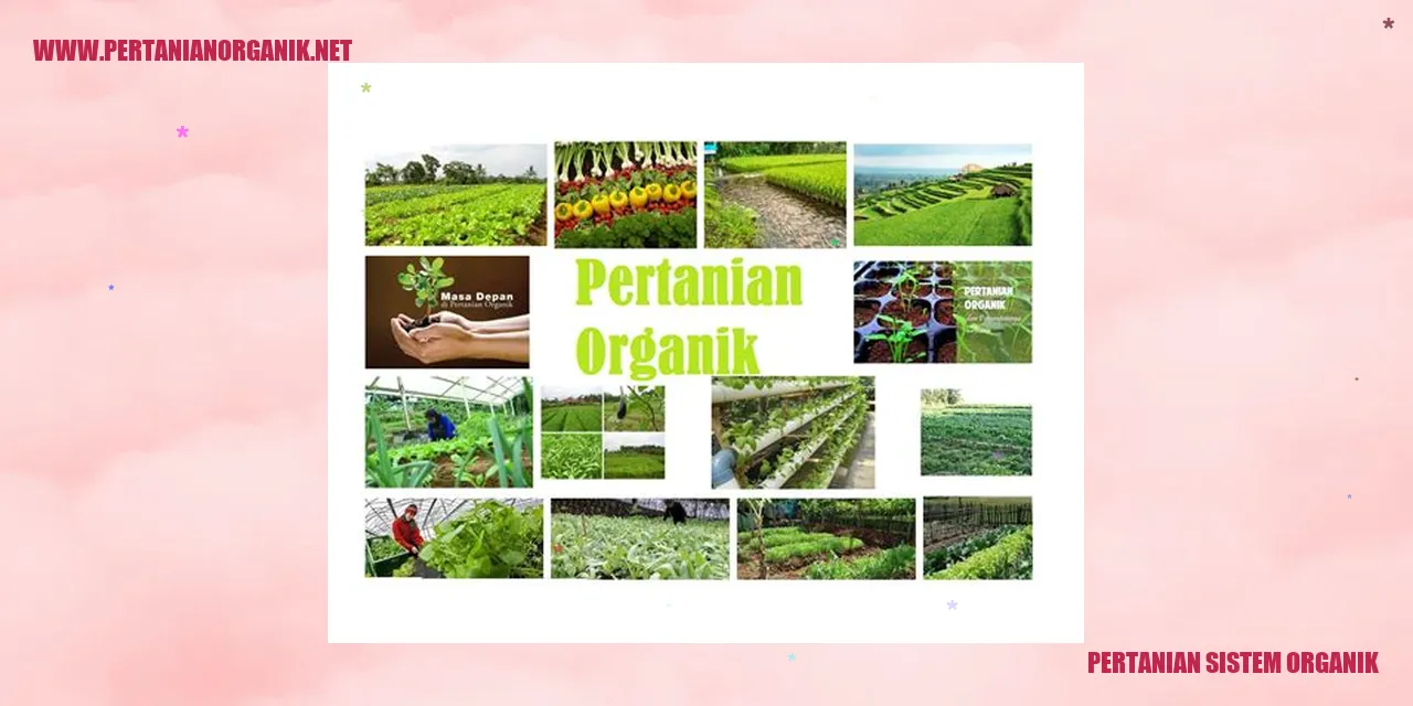 pertanian sistem organik