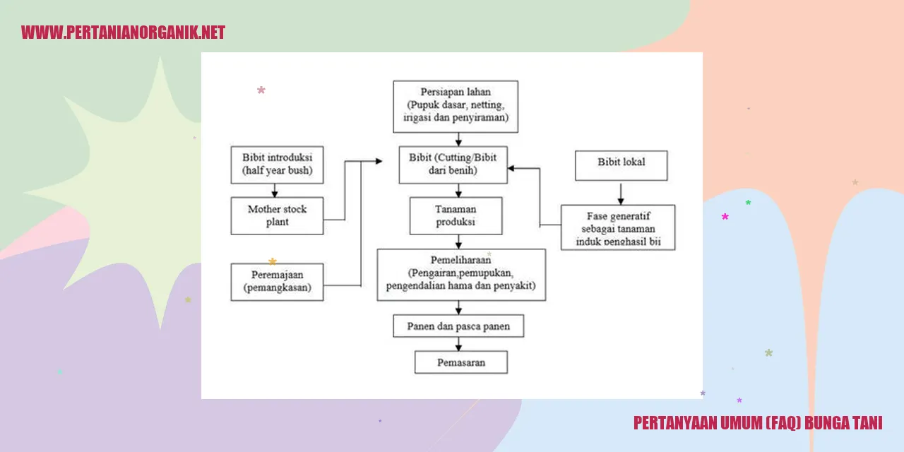 Pertanyaan Umum (FAQ) Bunga Tani