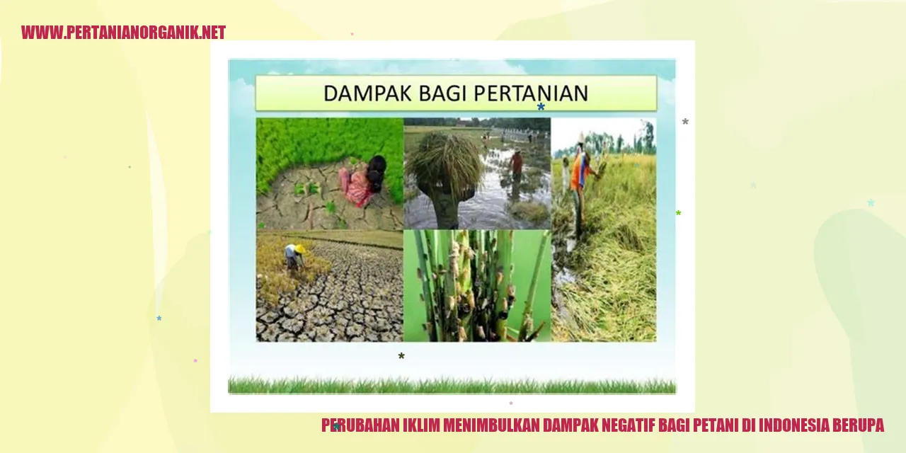 Gambar Petani di Indonesia