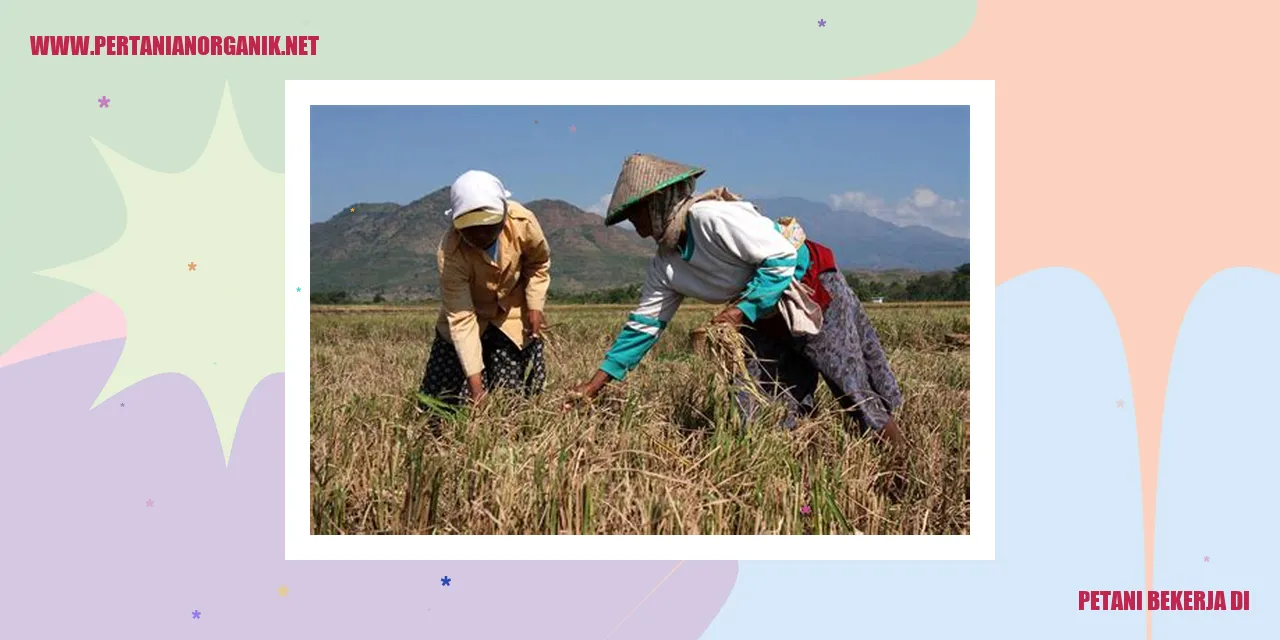 petani bekerja di