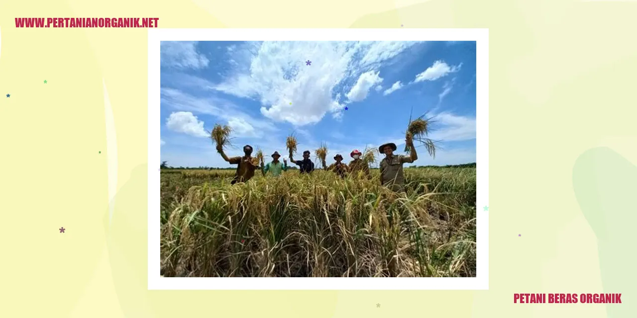 Petani beras organik