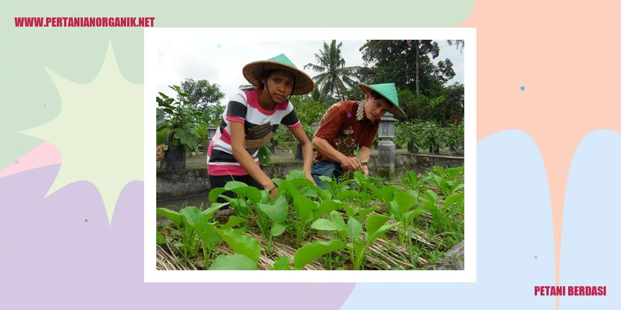 Petani Berdasi Menghadapi Kekeringan