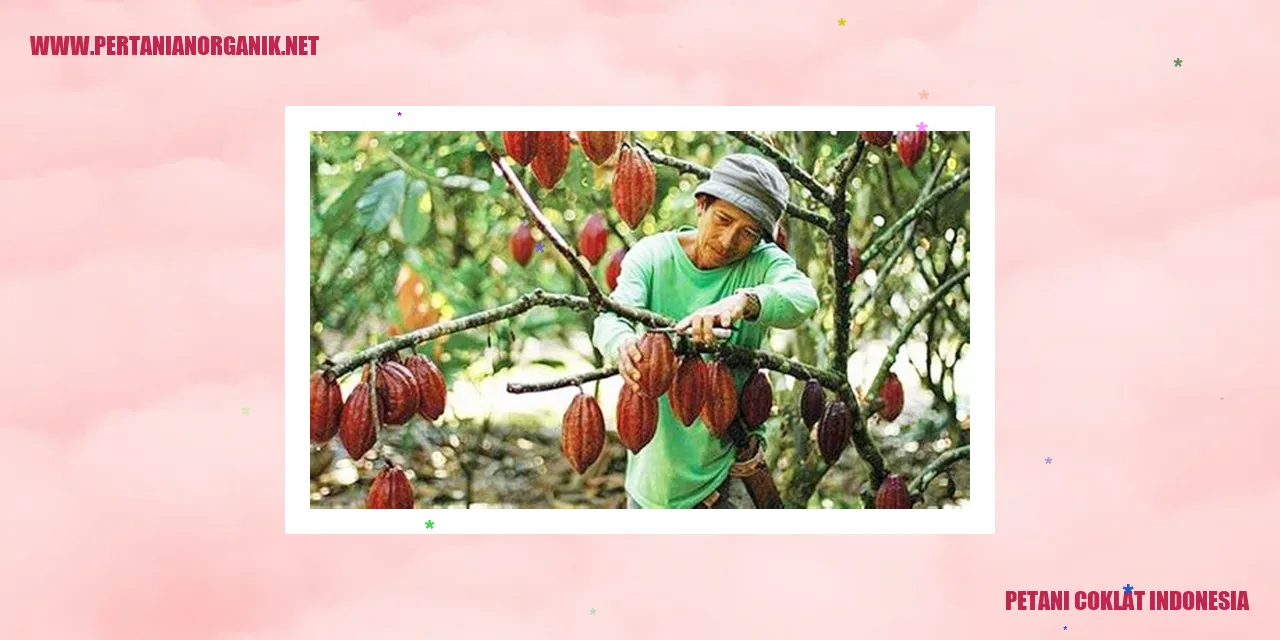 Petani Coklat Indonesia