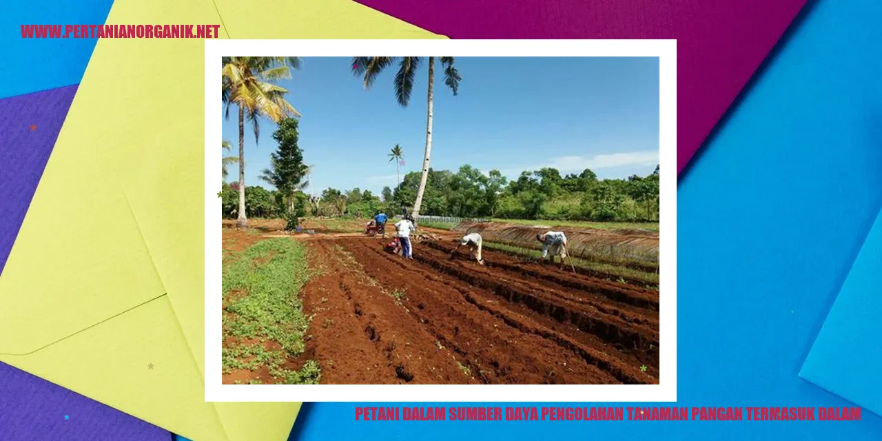 Petani dalam Sumber Daya Pengolahan Tanaman Pangan Termasuk Dalam