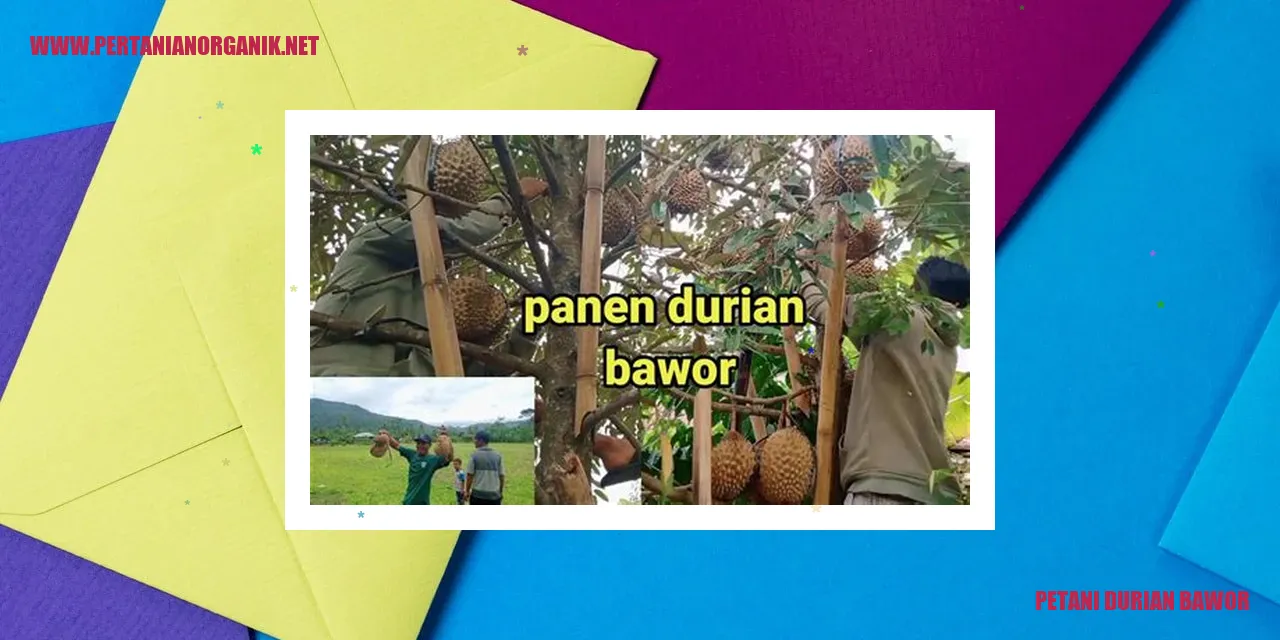 Petani Durian Bawor