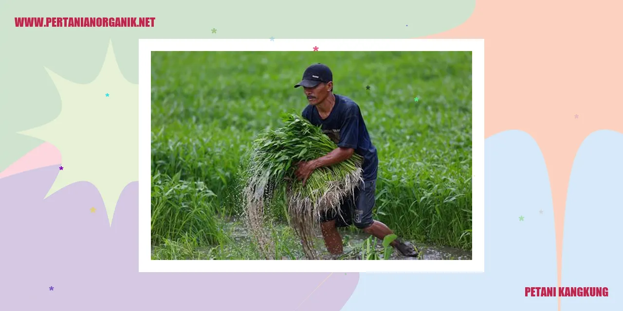 Petani Kangkung