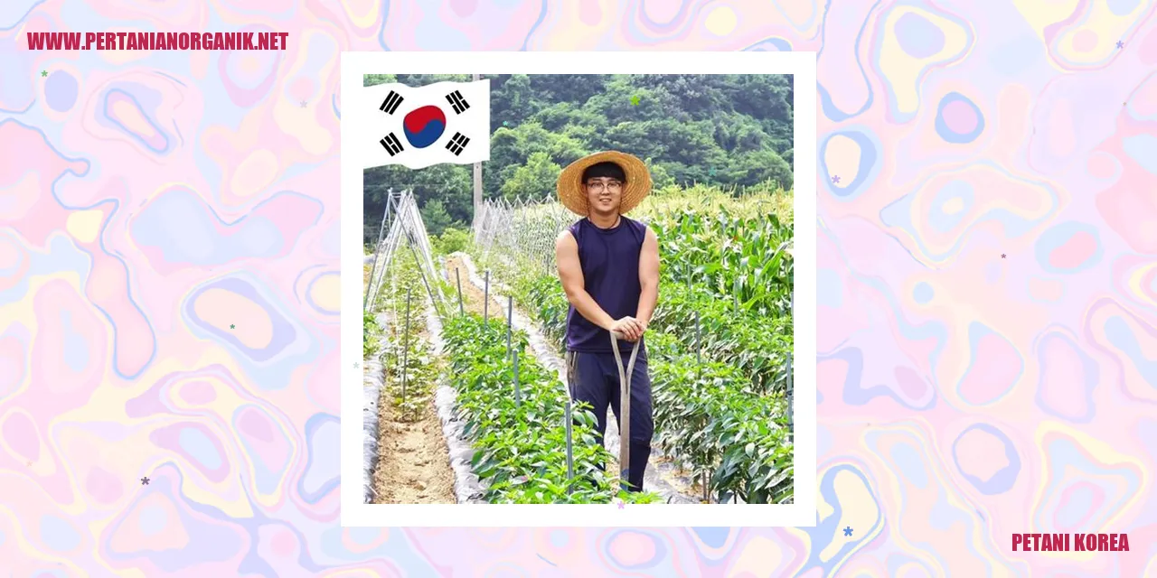 Petani Korea