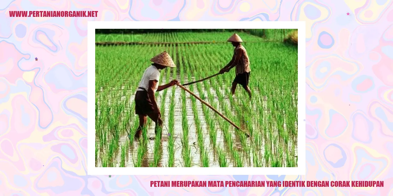 Petani Merupakan Mata Pencaharian yang Identik dengan Corak Kehidupan