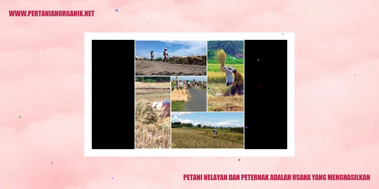 Petani