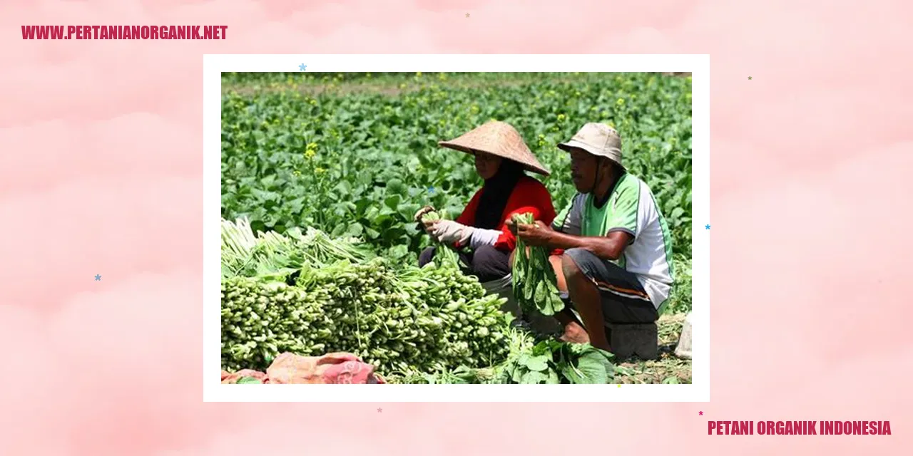 Petani Organik Indonesia