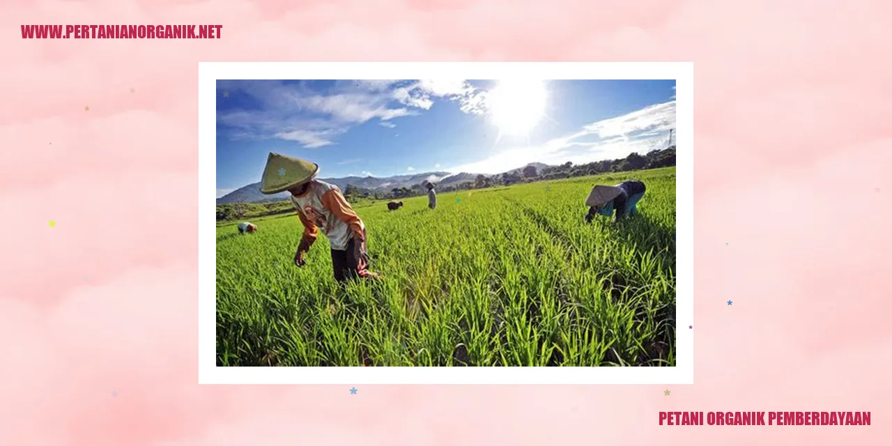 petani organik pemberdayaan