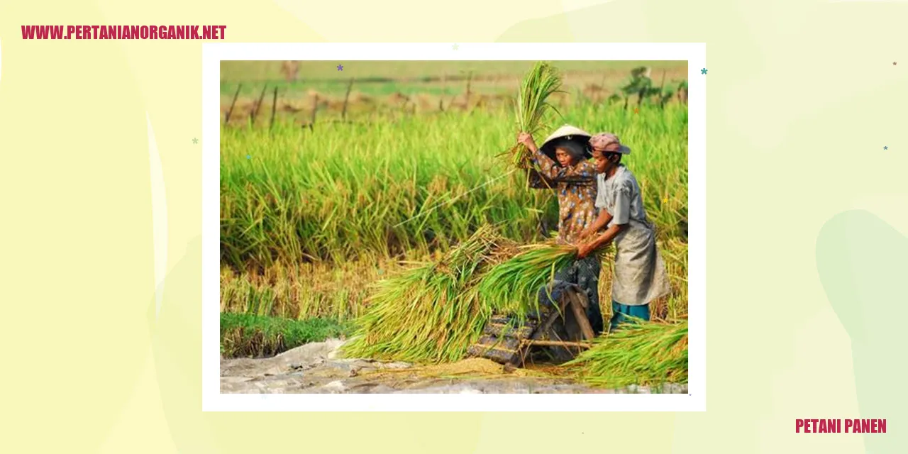 Petani Panen